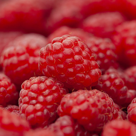 IQF Frozen raspberries